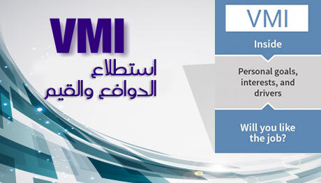 مؤشر القيم والدوافع (VMI)